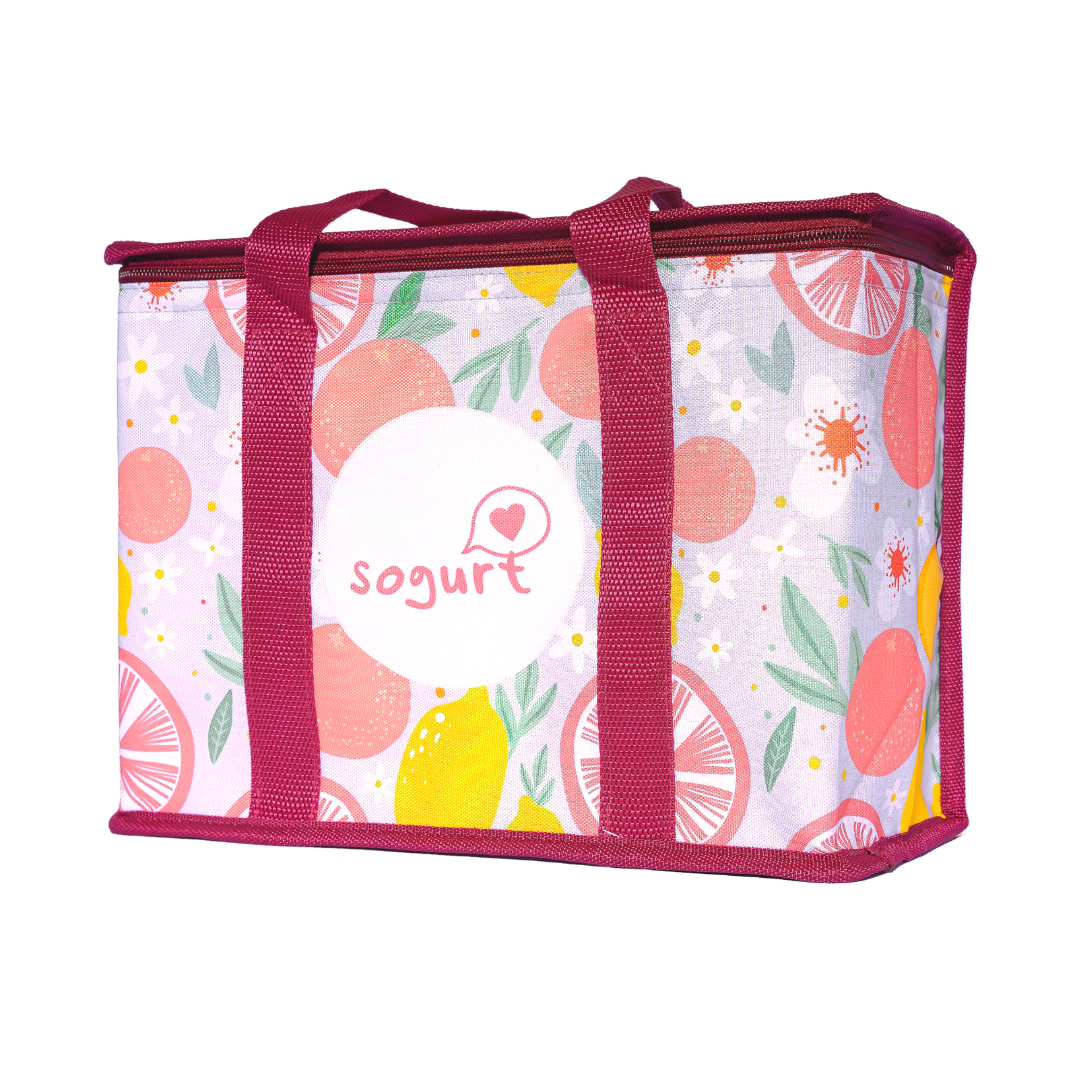 Cooler bag online for ice cream