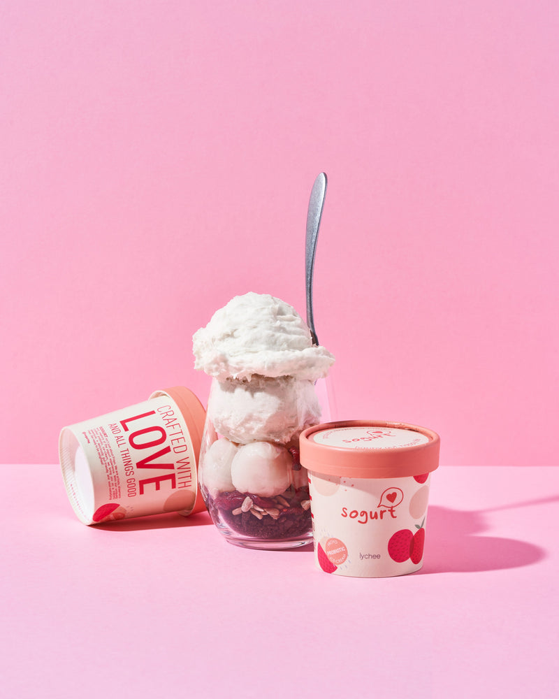 
                  
                    Load image into Gallery viewer, Lychee Frozen Yogurt Ice Cream (Pint)
                  
                