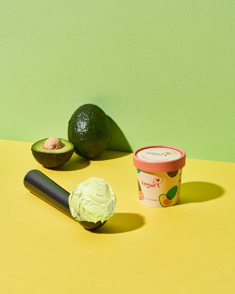 
                  
                    Load image into Gallery viewer, Premium Avo-Melaka Frozen Yogurt Ice Cream (Pint)
                  
                