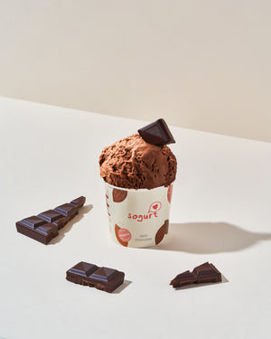 
                  
                    Load image into Gallery viewer, Premium Dark Chocolate Frozen Yogurt Ice Cream (Pint)
                  
                