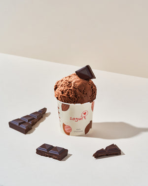 
                  
                    Load image into Gallery viewer, Premium Dark Chocolate Frozen Yogurt Ice Cream (Pint)
                  
                