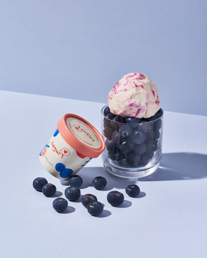 
                  
                    Load image into Gallery viewer, Berry Swirl Frozen Yogurt Ice Cream (Pint)
                  
                