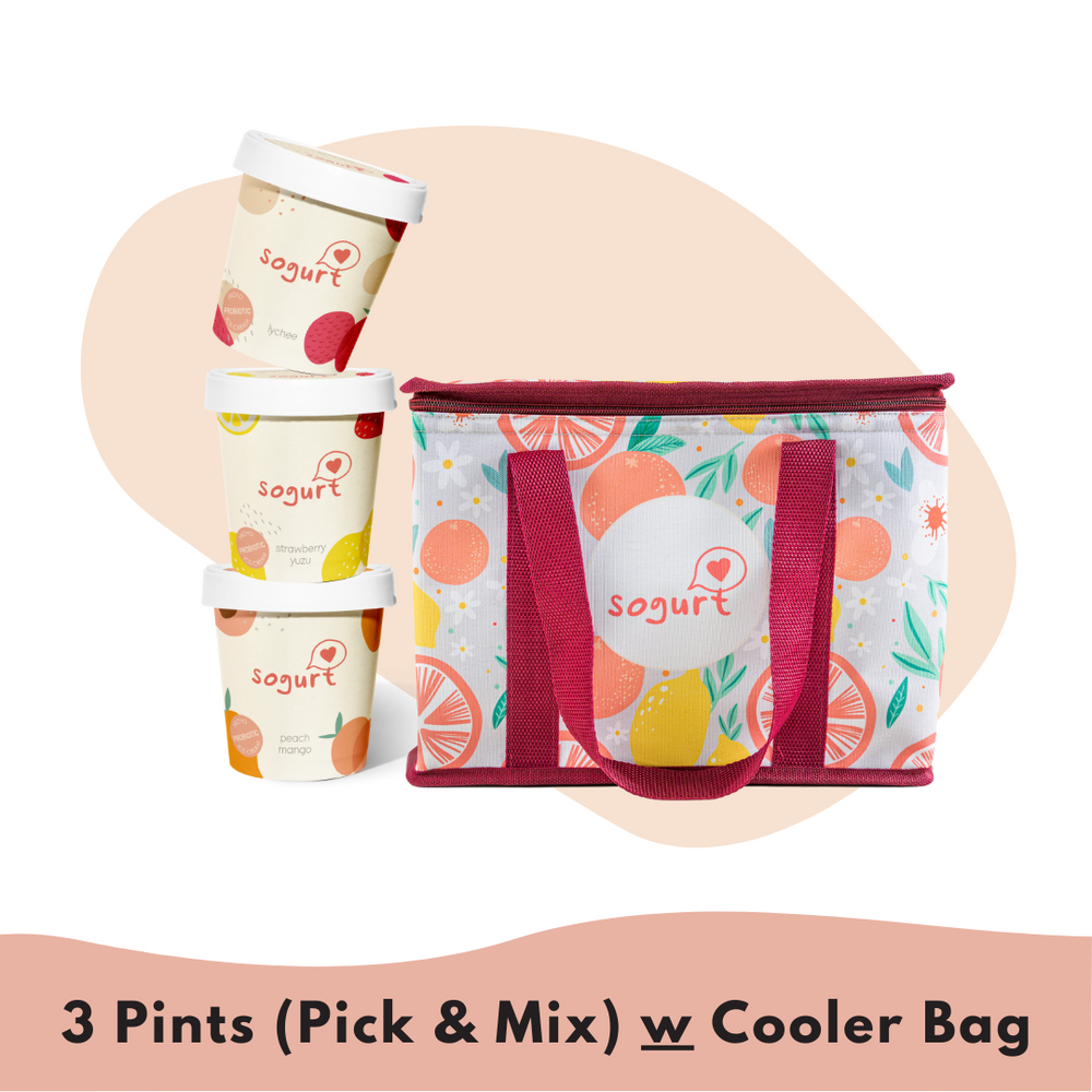 3 Sogurt Ice Cream Pints with Sogurt's Poppy Cooler Bag - Mix and Match! Choose Your Favorite Flavors  