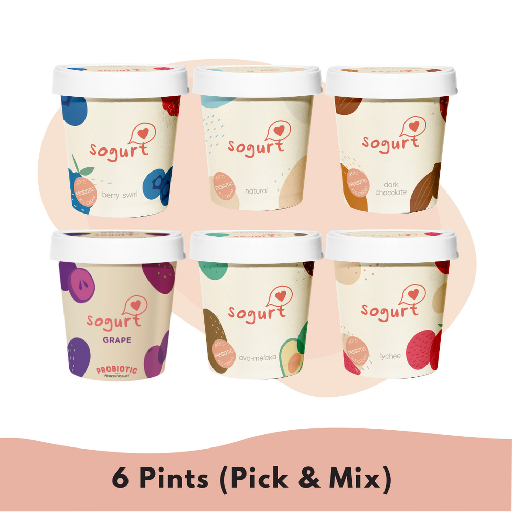 6 Sogurt Ice Cream Pints - Berry Swirl, Natural, Dark Chocolate, Grape, Avo-Melaka and Lychee 