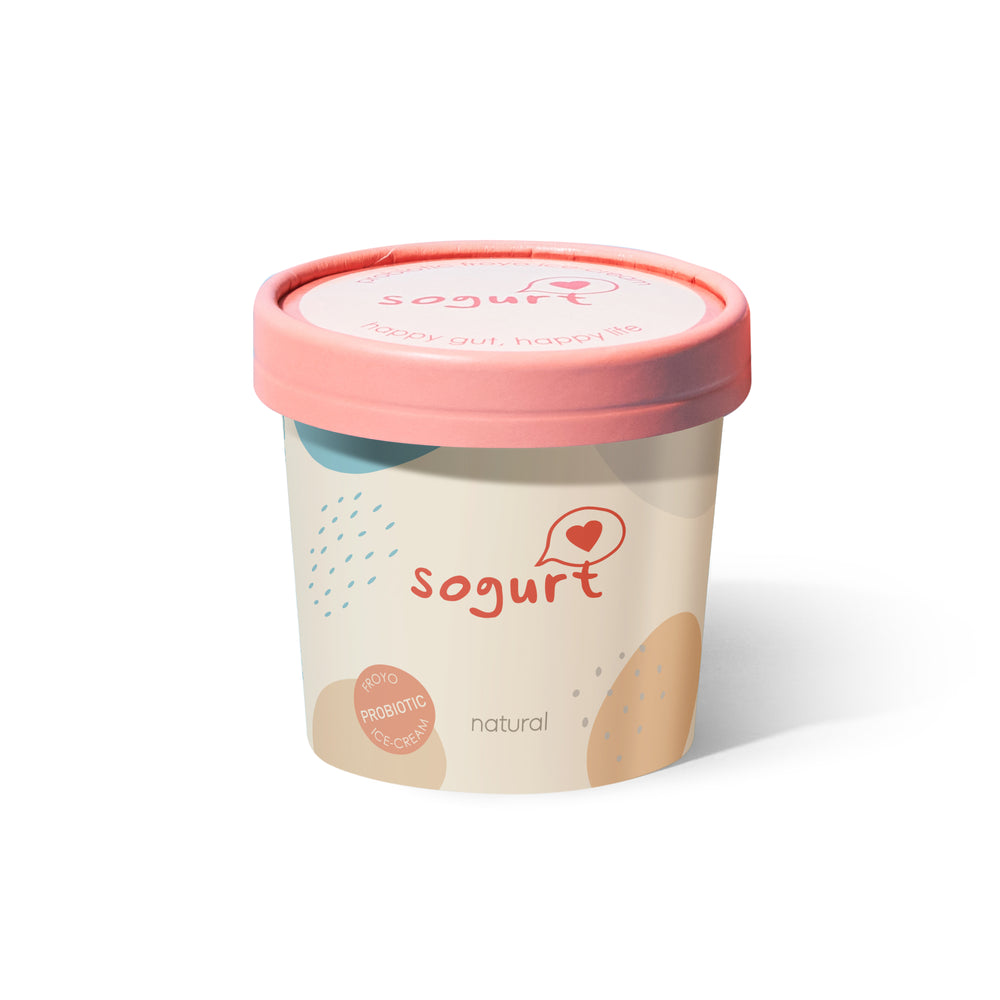 Sogurt Natural Ice Cream Minicup - 120ml
