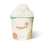 Sogurt Natural Ice Cream Pint 437ml