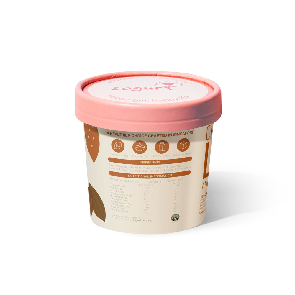 
                  
                    Load image into Gallery viewer, Premium Dark Chocolate Frozen Yogurt Ice Cream (Minicup)
                  
                